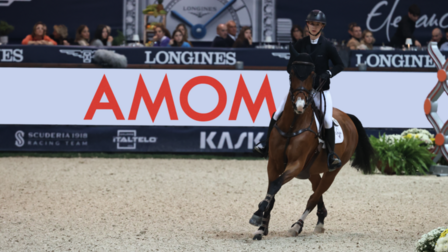 AMOM sponsor of the 126th edition of Fiera Cavalli in Verona