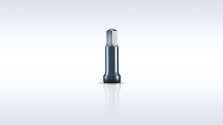 BALINIT B coated for extrusion punch