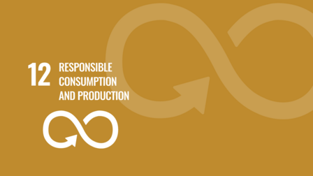 SDG 12: Responsible consumption and production 