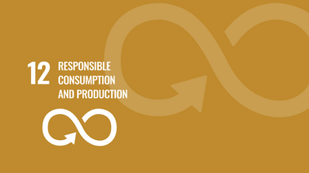 RESPONSIBLE CONSUMPTION