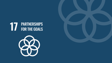 SDG 17: Partnerships for the goals