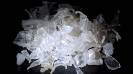 Recycling becomes a focus 