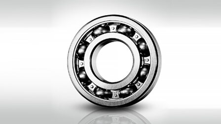 RS 50 ball bearing