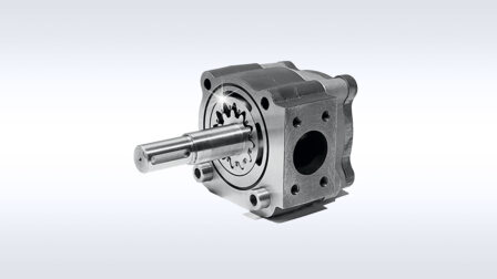 Rotary pumps