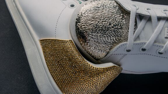Accessoires pour chaussures